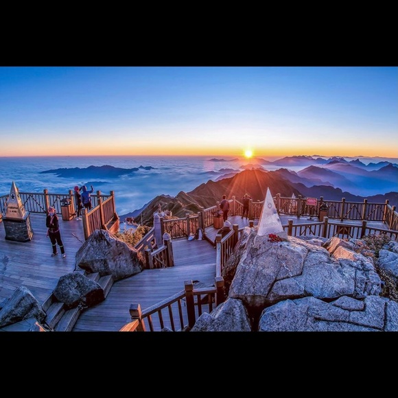 Meet your Posher, Ricky - Picture 1 of 1